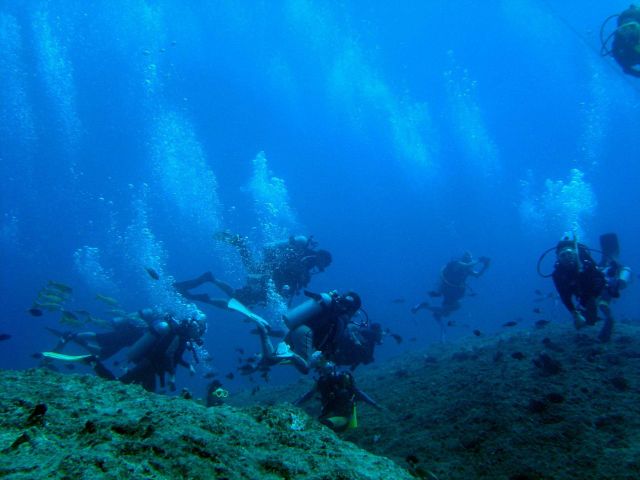 Dive tourism can place additional stress on reefs Picture
