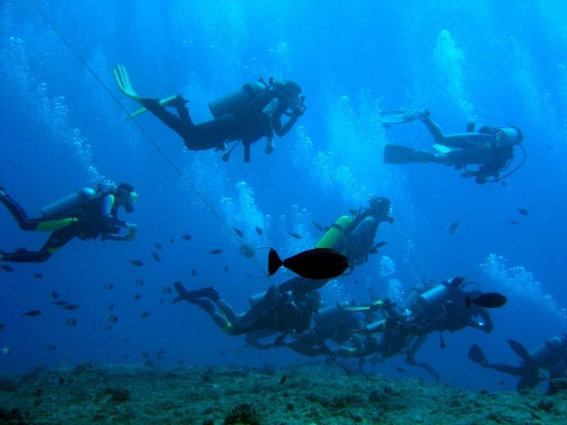 Dive tourism can place additional stress on reefs Picture
