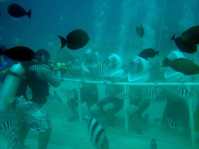 Photographing tourists at a Guam reef attraction Picture