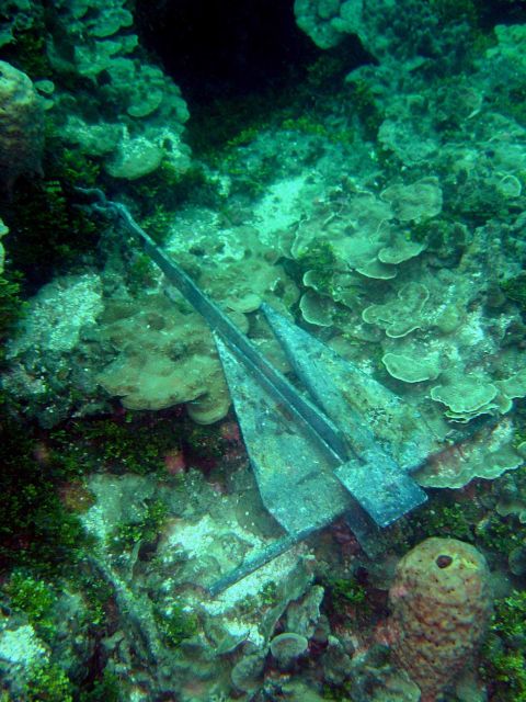 Careless anchoring adds to stress on otherwise healthy coral reef Picture