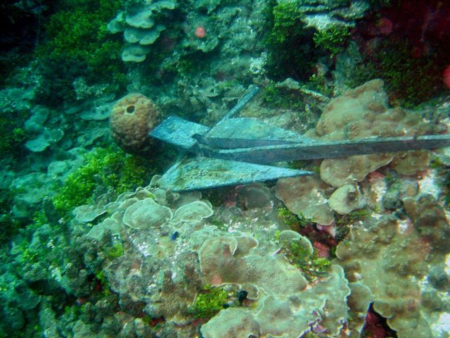Careless anchoring adds to stress on otherwise healthy coral reef Picture