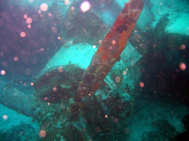 Closeup of Emily Flying Boat engine and propeller. Picture