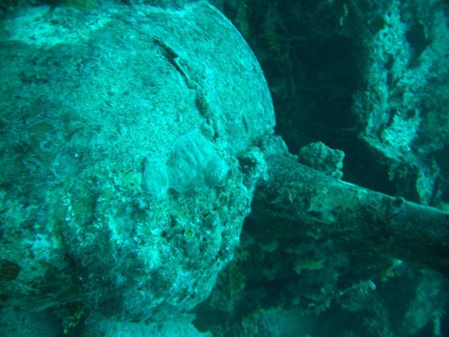Looking forward along engine cowling of Emily Flying Boat. Picture