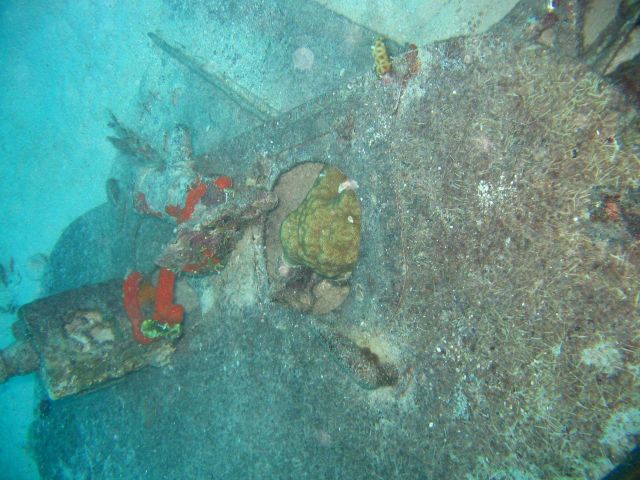 Wheel well and strut of Emily Flying Boat that was laying upside down. Picture
