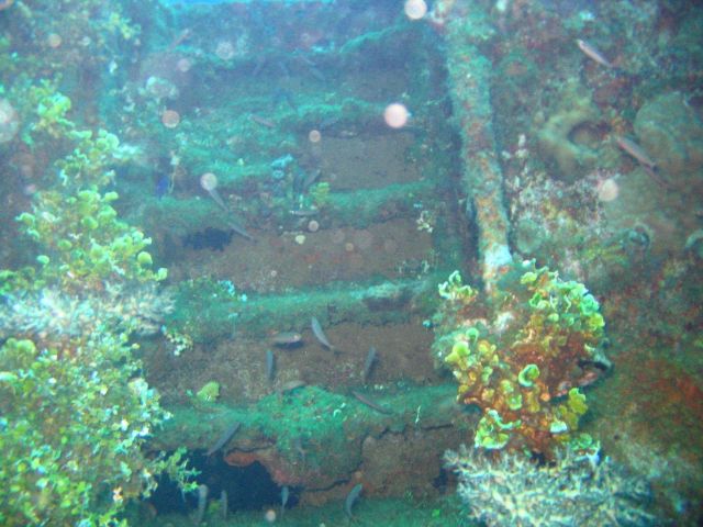 A stairway to Davy Jones' Locker on the Fujikawa Maru. Picture