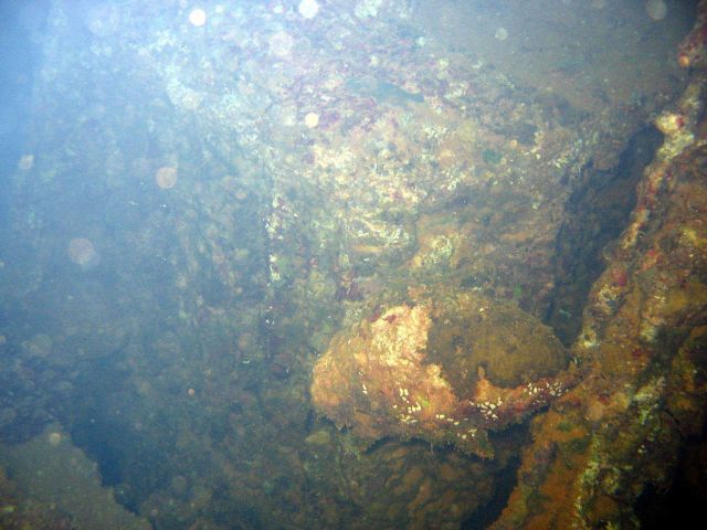 Remains of a truck on the Hoku Maru. Picture