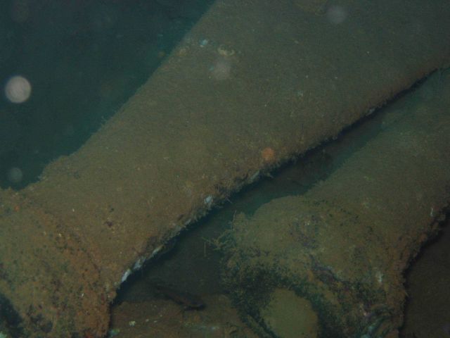 Debris from shipwreck Picture