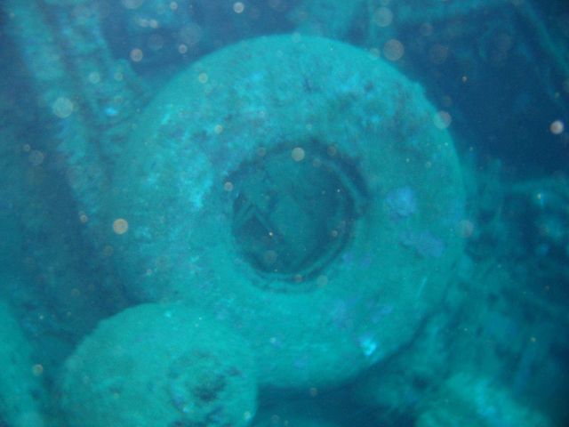 Debris from shipwreck Picture