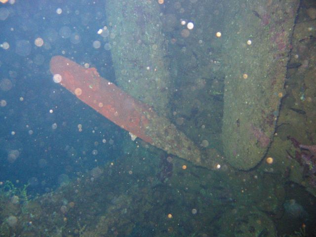 Debris from shipwreck Picture