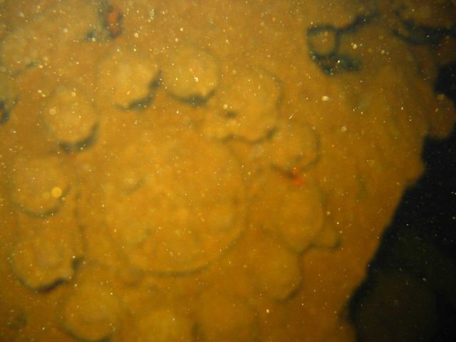 Engine head on the Kansho Maru. Picture