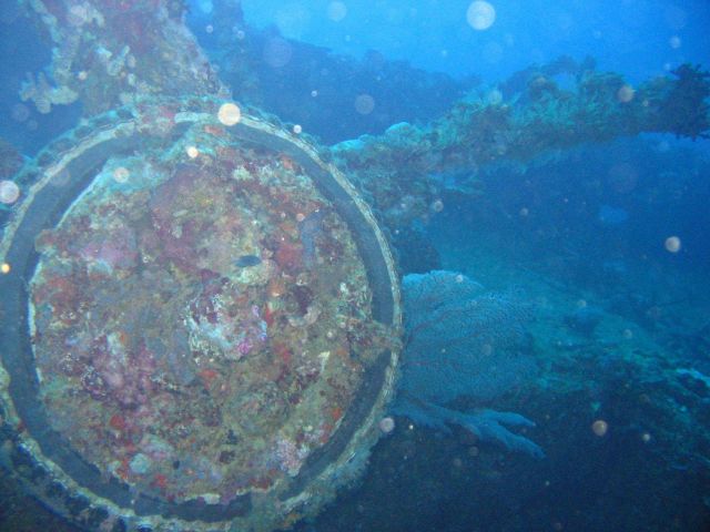Howitzer on the Nippo Maru. Picture