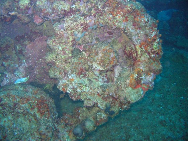 Tank tread on small tank on the Nippo Maru. Picture