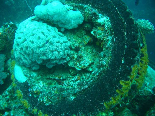 Truck tire on the Sankisan Maru. Picture