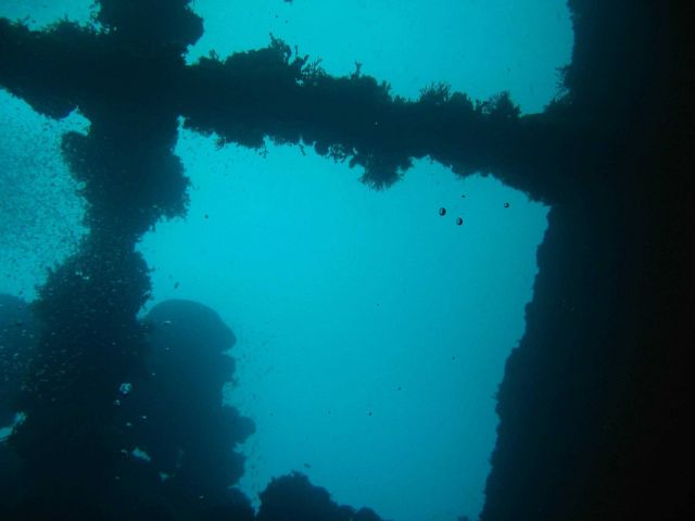 A scene on the Unikai Maru. Picture