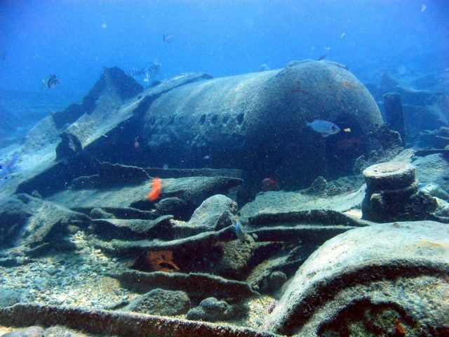 Boiler from modern ship wreck on Pearl and Hermes Reef. Picture
