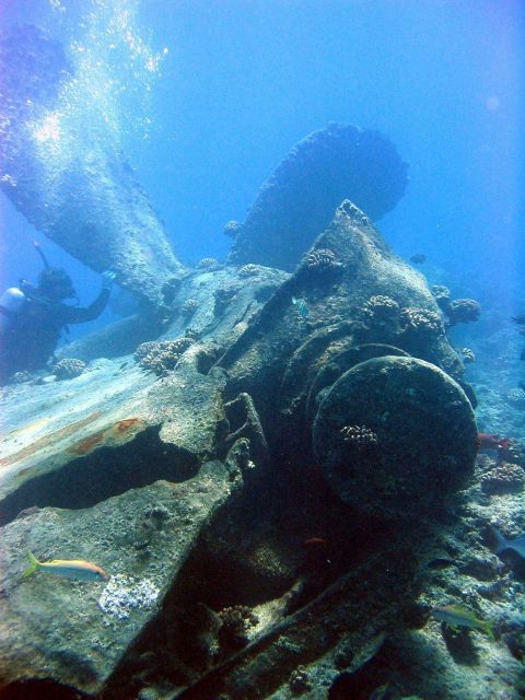 Diver next to propeller giving concept of scale of machinery from modern ship wreck on Pearl and Hermes Reef. Picture
