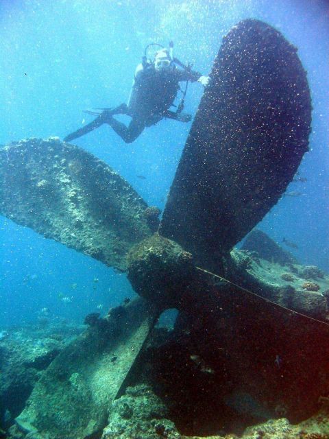 Diver next to propeller giving concept of scale of machinery from modern ship wreck on Pearl and Hermes Reef. Picture