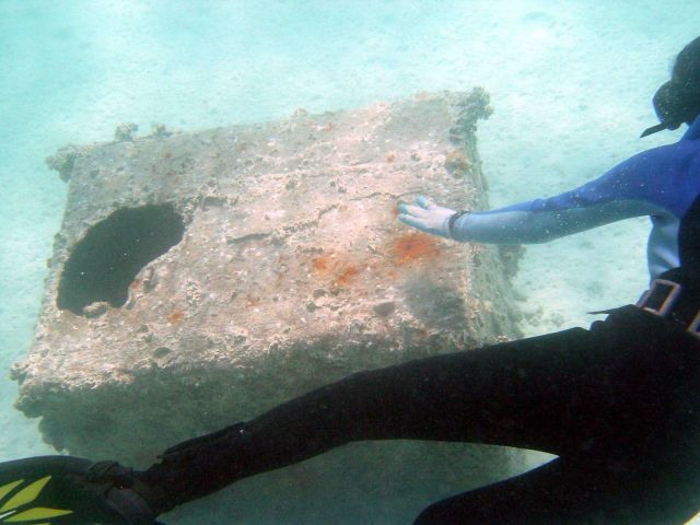 Debris from early Twentieth Century wreck on Pearl and Hermes Reef Picture