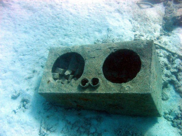 Debris from early Twentieth Century wreck on Pearl and Hermes Reef Picture
