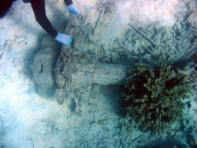 Anchor stem from early Twentieth Century wreck on Pearl and Hermes Reef Picture