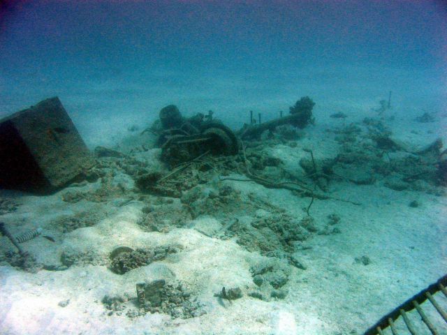 Debris from early Twentieth Century wreck on Pearl and Hermes Reef Picture