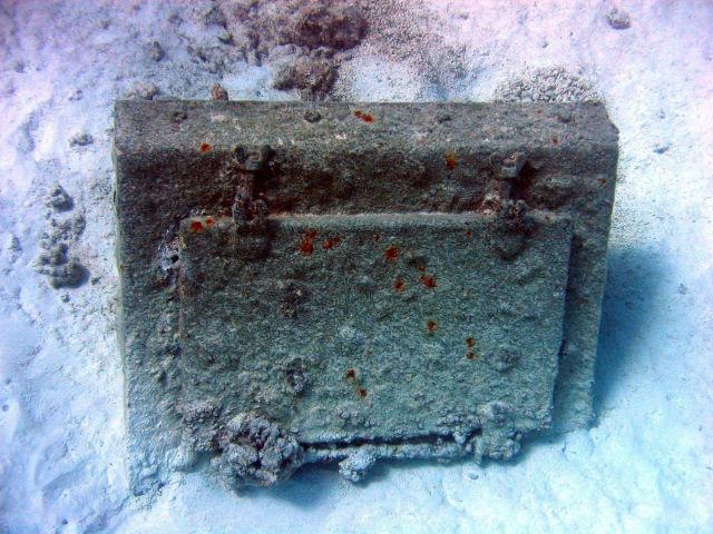 Debris from early Twentieth Century wreck on Pearl and Hermes Reef Picture