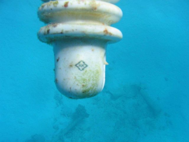 Electrical insulator found in debris field of early Twentieth Century wreck on Pearl and Hermes Reef Picture