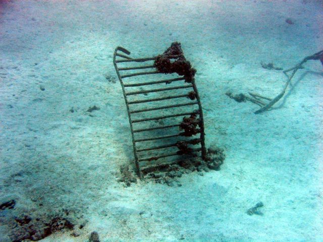 Debris from early Twentieth Century wreck on Pearl and Hermes Reef Picture