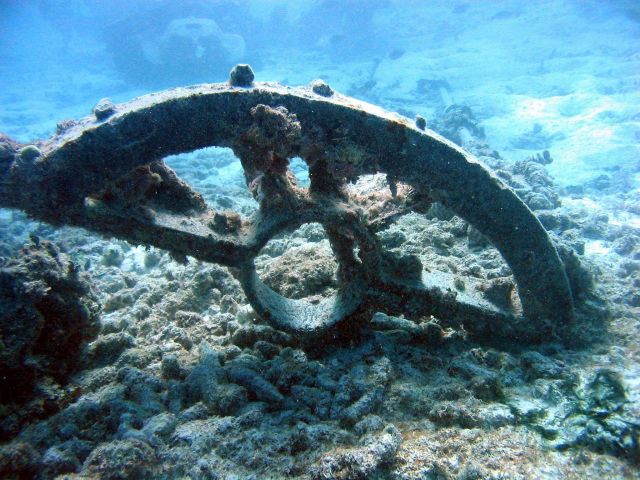 Debris from early Twentieth Century wreck on Pearl and Hermes Reef Picture