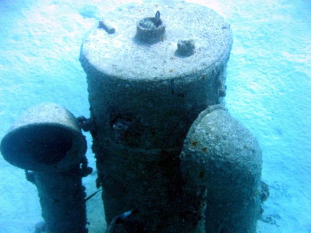 Debris from early Twentieth Century wreck on Pearl and Hermes Reef Picture