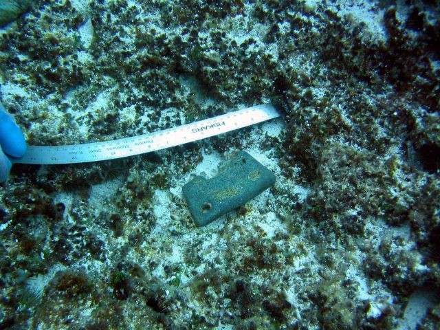 Copper debris from early Nineteenth Century whaling vessel on Pearl and Hermes Reef. Picture