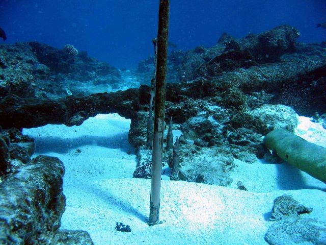 Copper fasteners left from hull of Nineteenth Century whaling vessel on Pearl and Hermes Reef. Picture