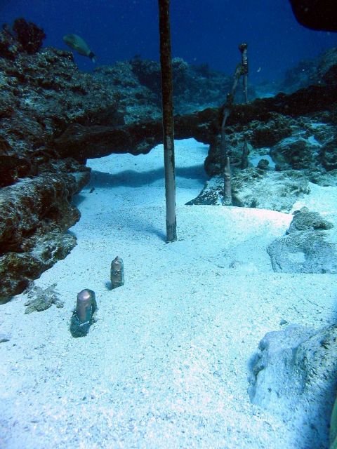 Copper fasteners left from hull of Nineteenth Century whaling vessel on Pearl and Hermes Reef. Picture
