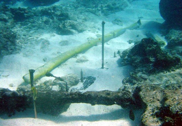 Copper fasteners standing and lead ballast (yellowish tubes) from early Nineteenth Century whaling vessels on Pearl and Hermes Reef. Picture