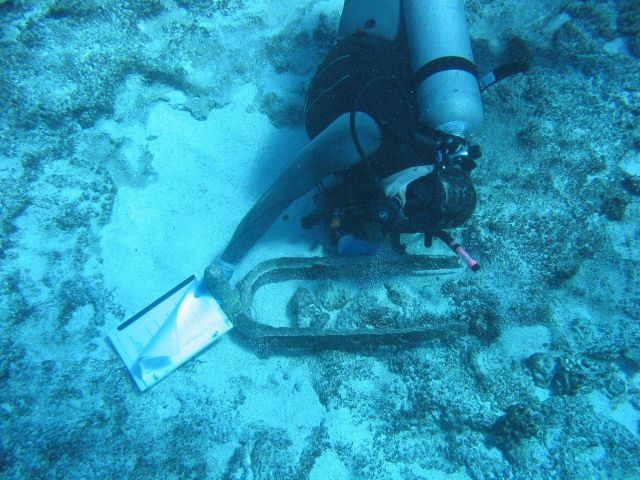 Pintle from an early Nineteenth Century whaling vessel on Pearl and Hermes Reef Picture