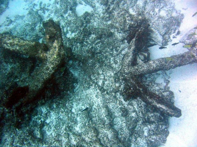 Large anchors from the ship wreck of a whaling vessel on Pearl and Hermes Reef. Picture