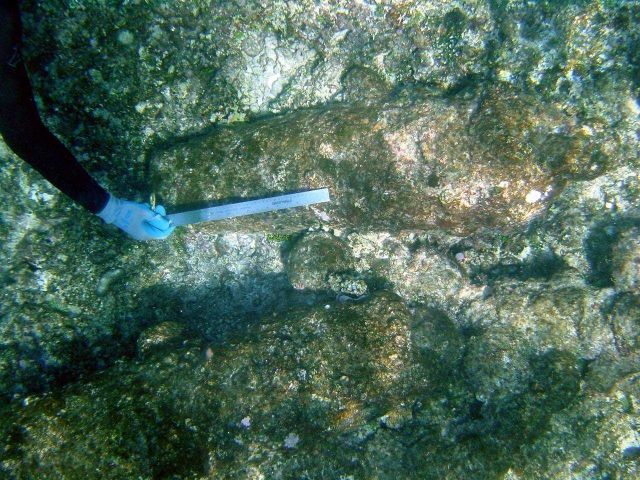 Measuring one of two cannons (second in bottom left of image) from ship wreck of early Nineteenth Century whaling vessel on Pearl and Hermes Reef. Picture