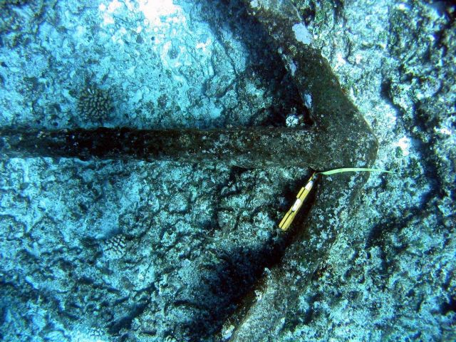 Anchor from the ship wreck of a whaling vessel on Pearl and Hermes Reef Picture