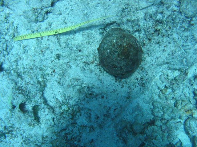 Cannon ball approximately 10 cm across from ship wreck of whaling vessel on Pearl and Hermes Reef. Picture