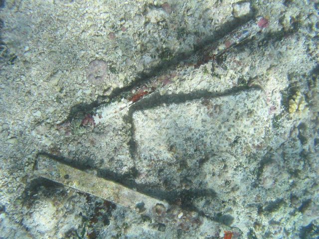 Random debris on Maro Reef. Picture