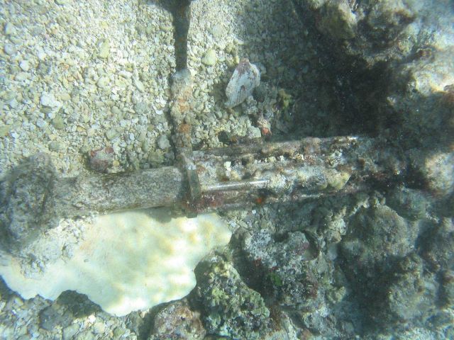 Random debris on Maro Reef. Picture