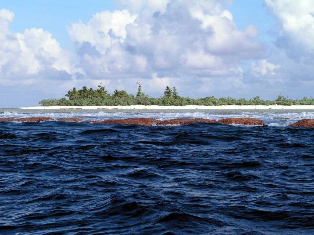 Reef line exposed at low tide at Rose Atoll Picture