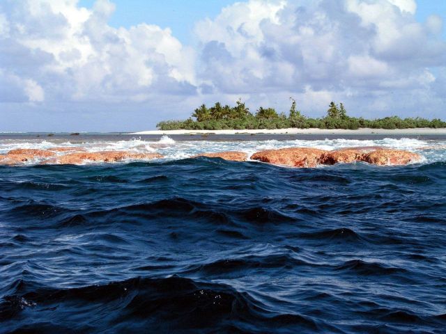 Reef line exposed at low tide at Rose Atoll Picture