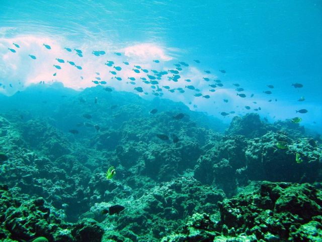 Waves breaking on the reef above give the illusion of clouds in the distance. Picture