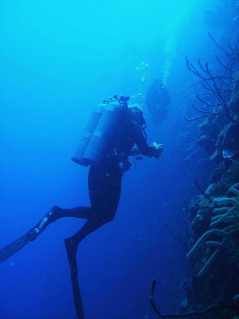 Technical divers exploring the deep wall community. Picture