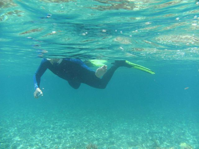 Snorkler off the Harbor Branch ship SEWARD JOHNSON enjoying the western Bahamas reef environment. Picture