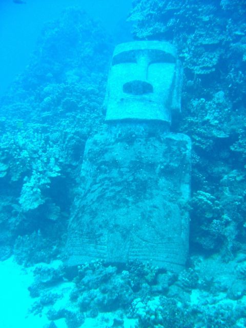 Moai amongst the coral Picture