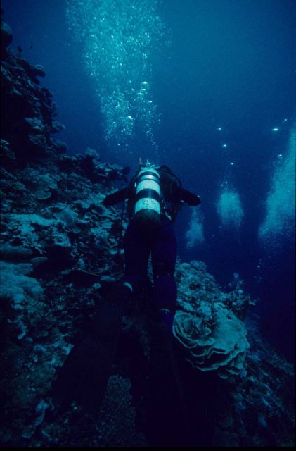 Ann Withell diving 23m depth Picture