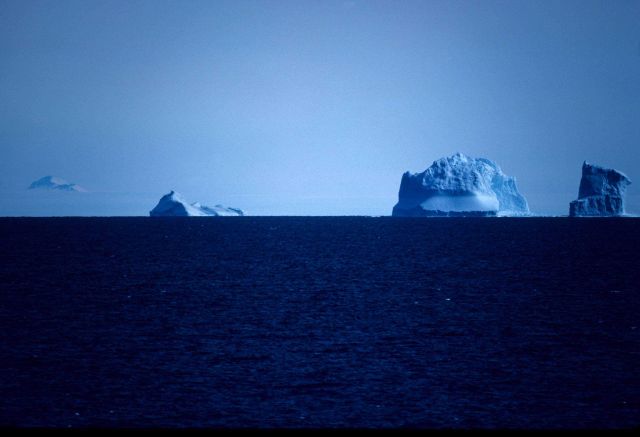 3 Icebergs. Picture