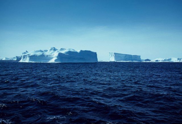 Icebergs Picture